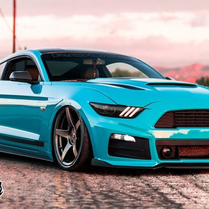 Miami Blue2