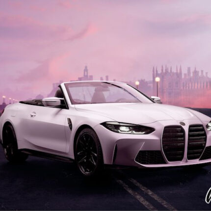 Avery Satin Flamingo Dance BMW WrapGear